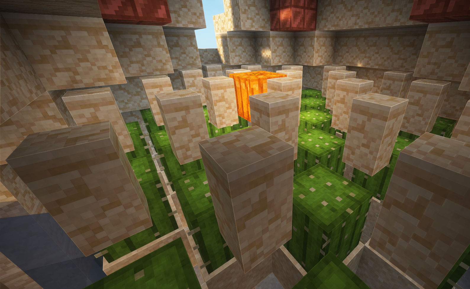 Cactus Farm – additional image